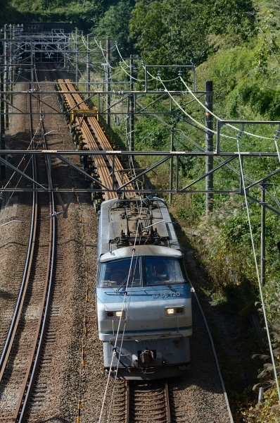 e0005714_21515050.jpg