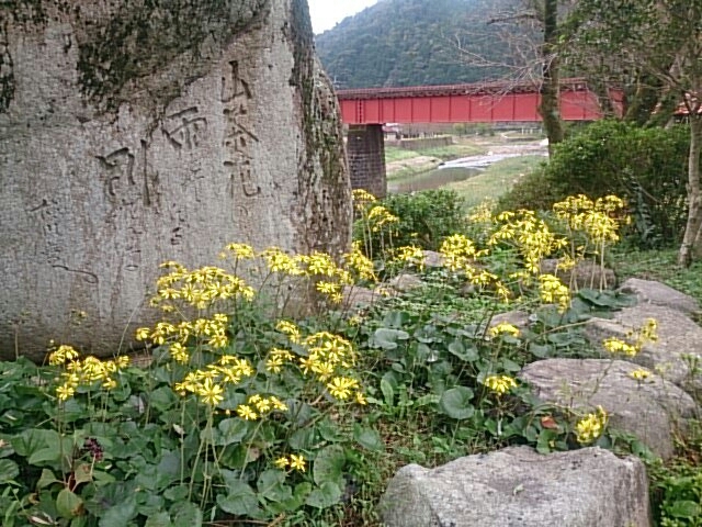 c0352015_16021360.jpg