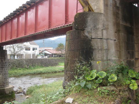 c0352015_22124501.jpg