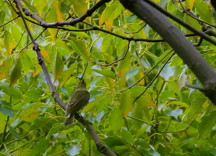 f0363618_7484919.jpg
