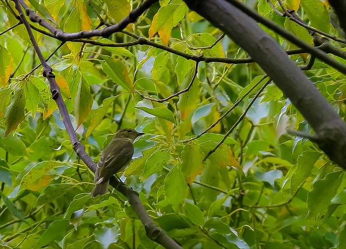 f0363618_749191.jpg