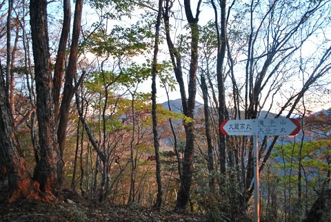 f0000521_7272583.jpg