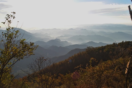 f0000521_7303478.jpg