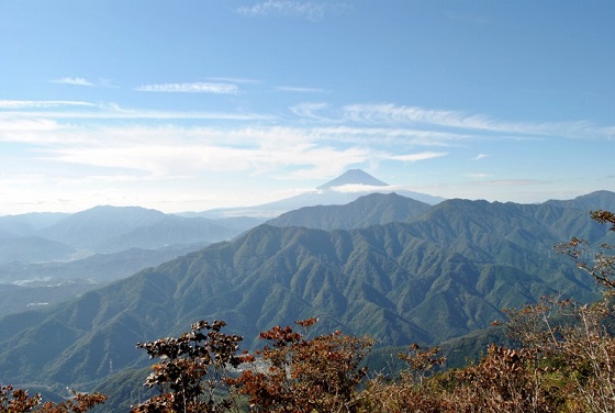 f0000521_7393258.jpg