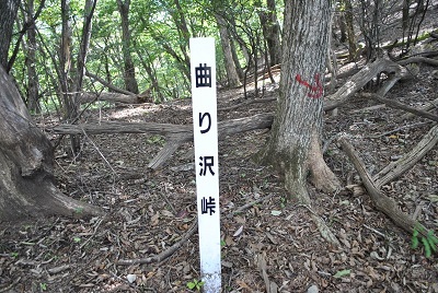 f0000521_7404159.jpg