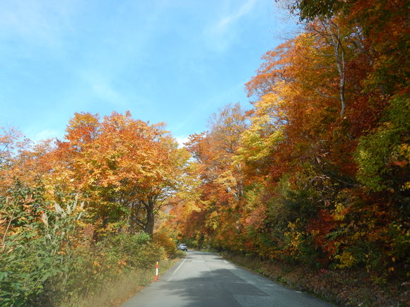 f0118332_0283751.jpg