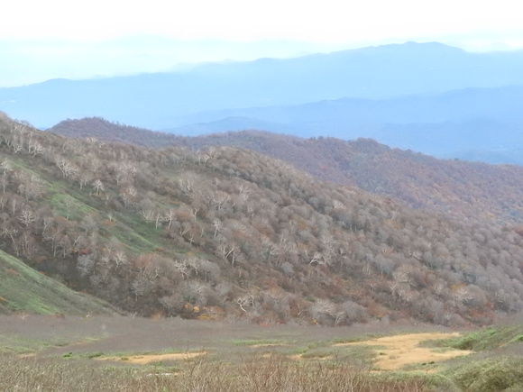 f0118332_0285912.jpg