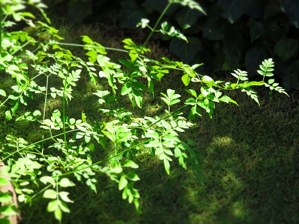 b0341140_1953211.jpg