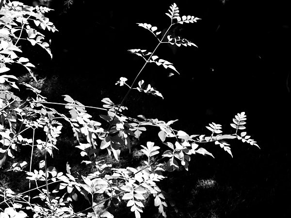 b0341140_1961779.jpg