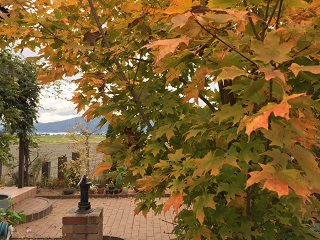 a0272241_16353559.jpg