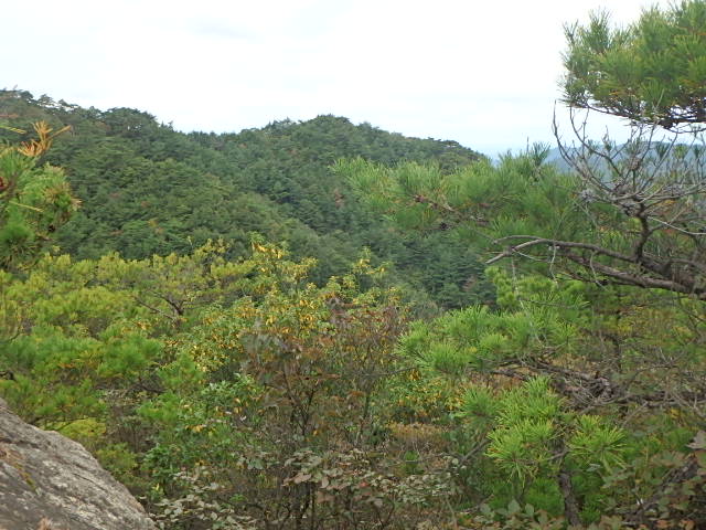 f0334143_1850858.jpg