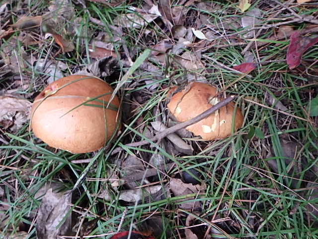 f0334143_18512577.jpg
