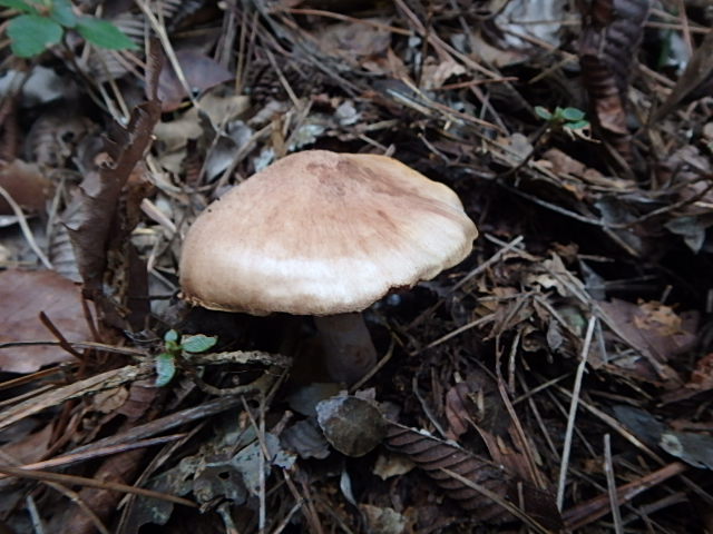 f0334143_1851320.jpg