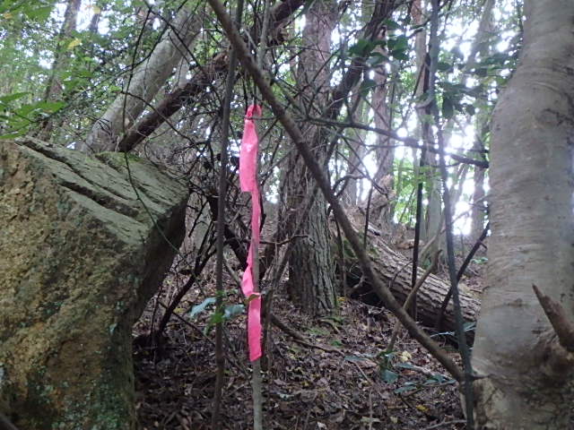 f0334143_1852478.jpg