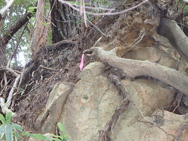 f0334143_18533336.jpg
