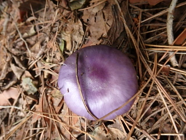 f0334143_1853589.jpg