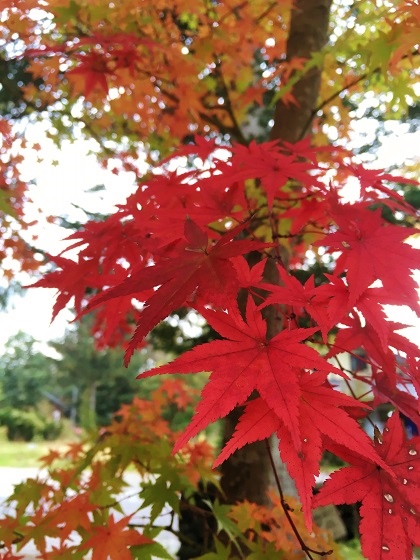c0034248_21441420.jpg