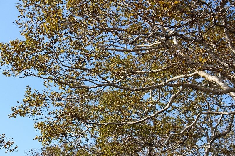 b0250154_08450896.jpg
