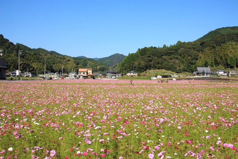 a0167759_19585250.jpg