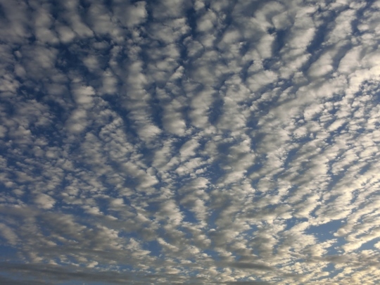 c0328559_19510500.jpg