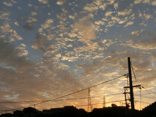 c0328559_19520287.jpg