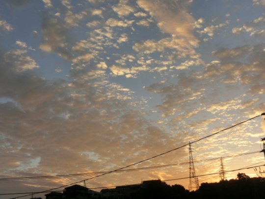 c0328559_19521910.jpg