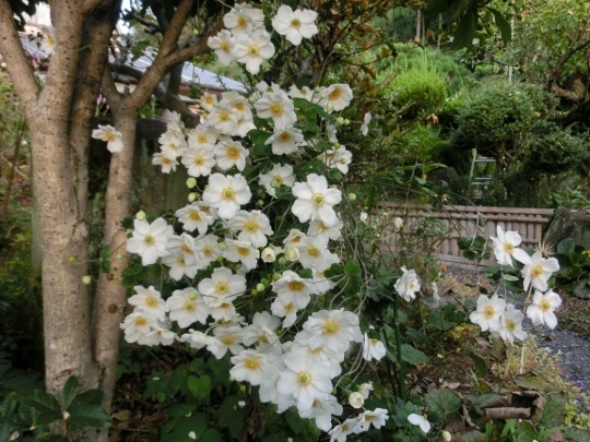 c0328559_20085745.jpg