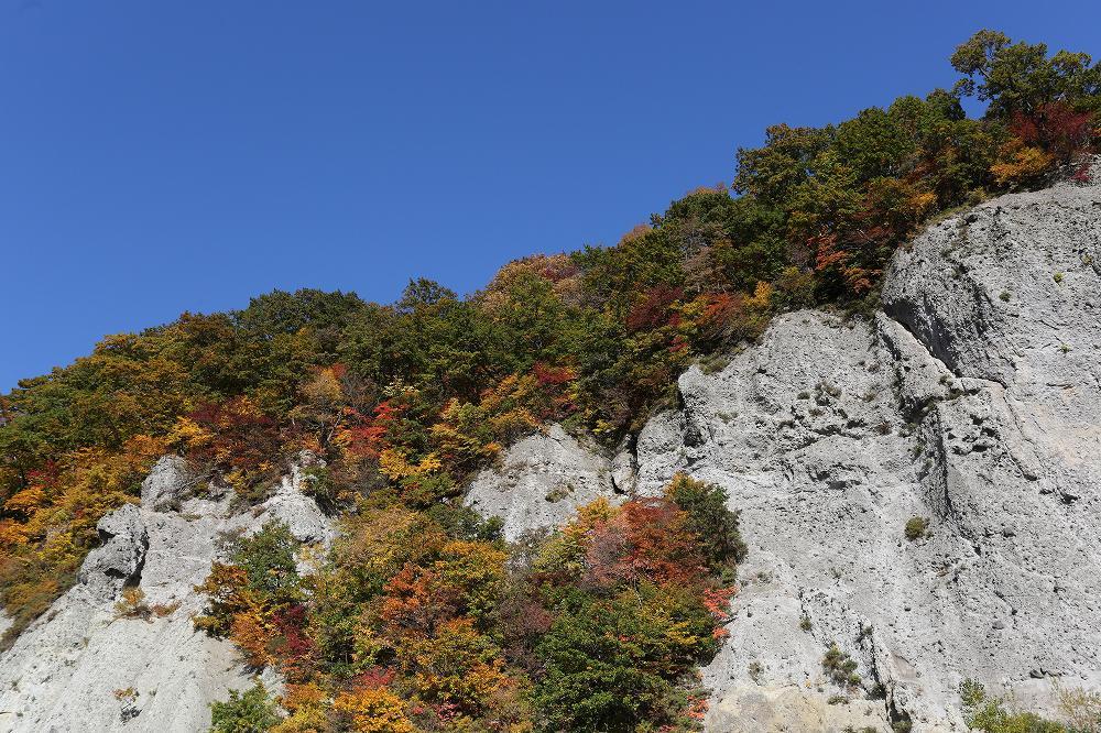 f0347565_17223410.jpg