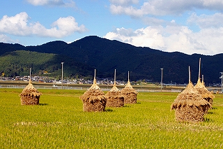 e0002466_1813349.jpg