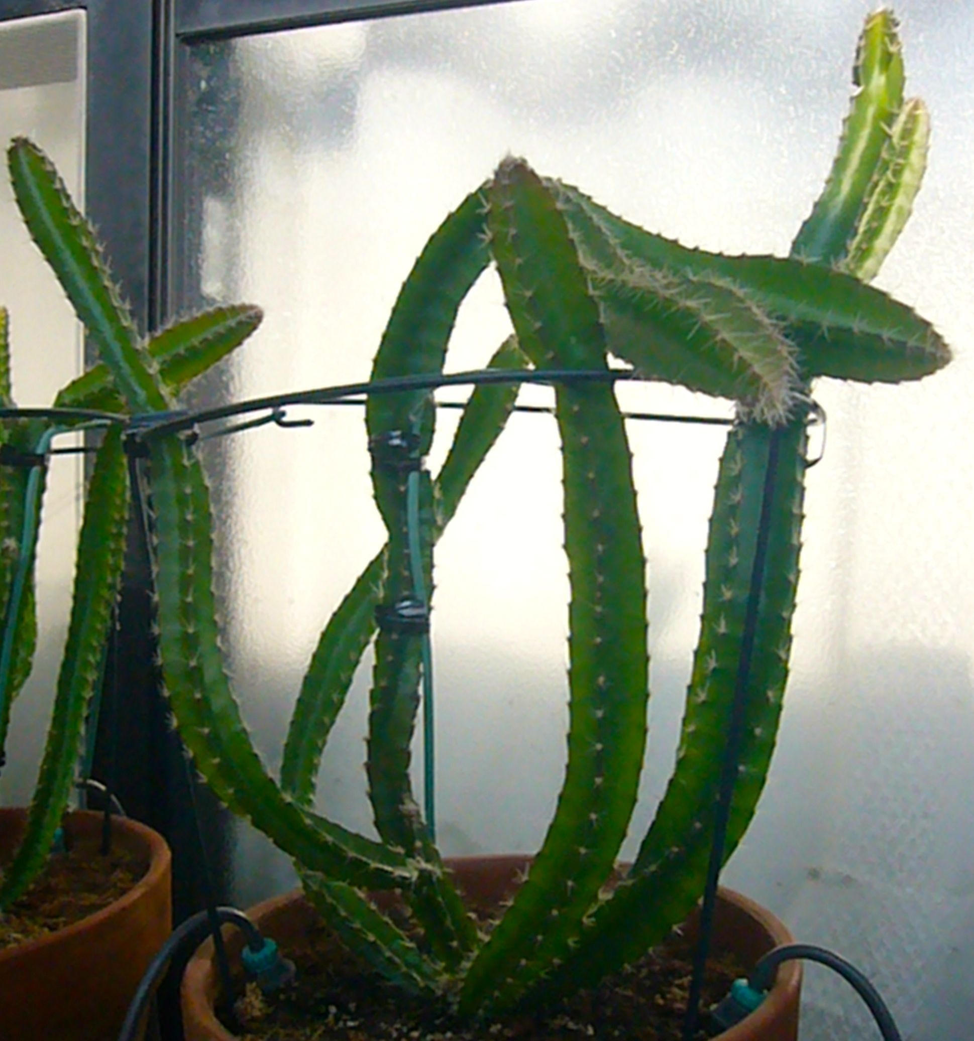 b0025169_14500045.jpg