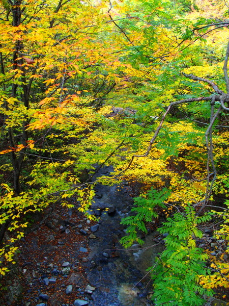 c0122670_18504890.jpg