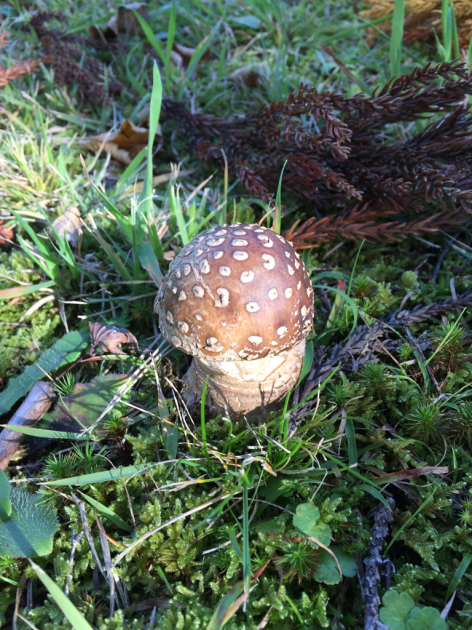 e0107171_00082821.jpg