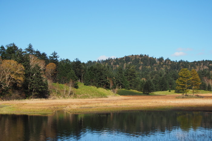 e0307372_17234906.jpg