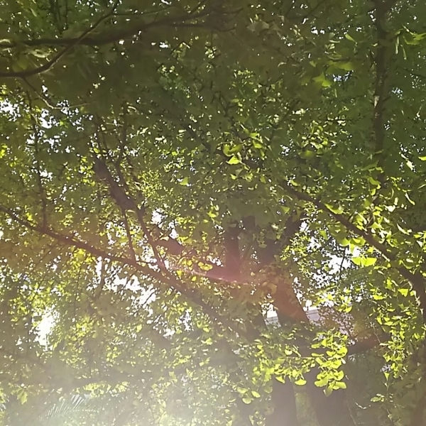 f0152875_08040190.jpg