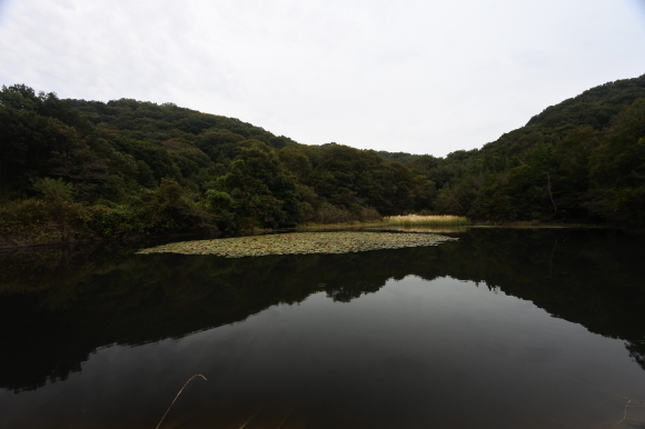 e0024081_09115904.jpg