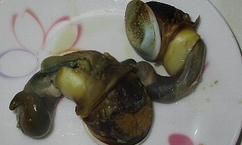 f0003283_12422085.jpg