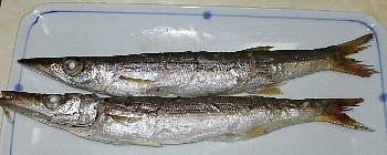 f0003283_12433197.jpg
