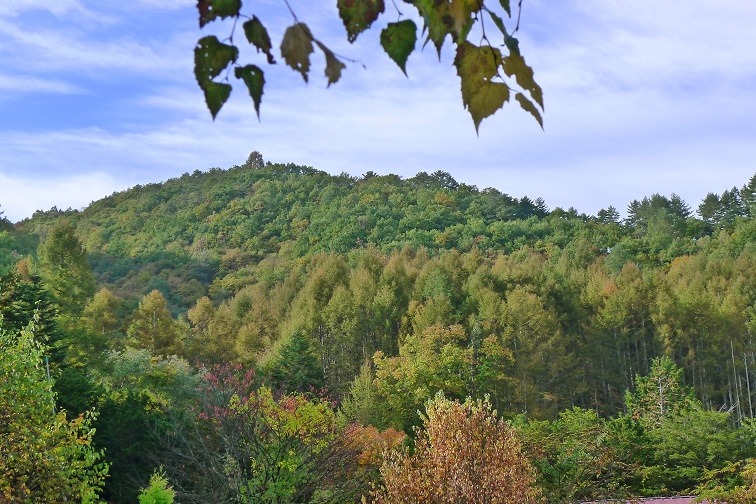 a0130586_924168.jpg