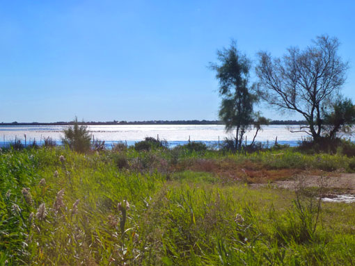 b0107891_2285630.jpg