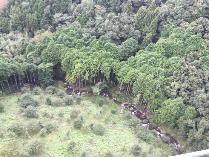 f0268294_00163629.jpg