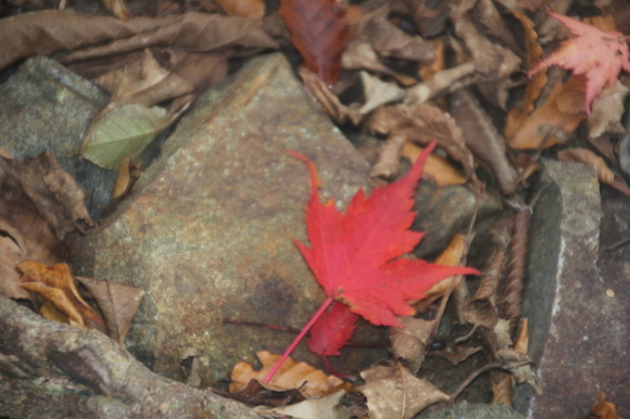 f0370599_13282315.jpg