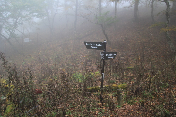 f0370599_13441591.jpg