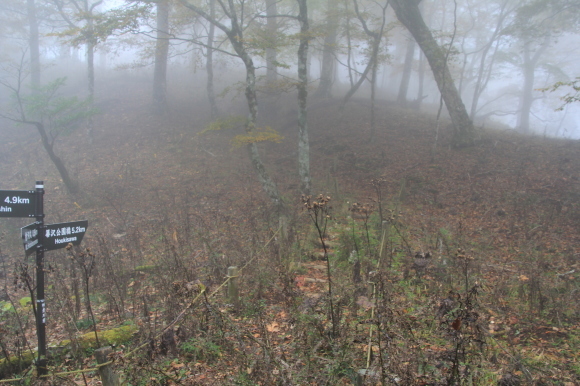 f0370599_13443533.jpg