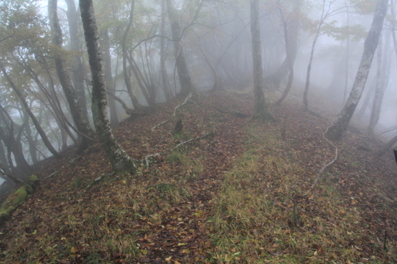 f0370599_13445606.jpg