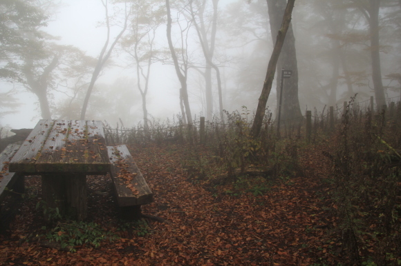 f0370599_13453259.jpg