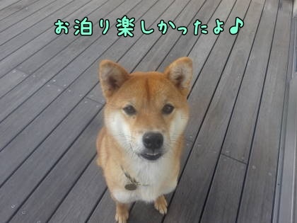 a0338800_21342047.jpg