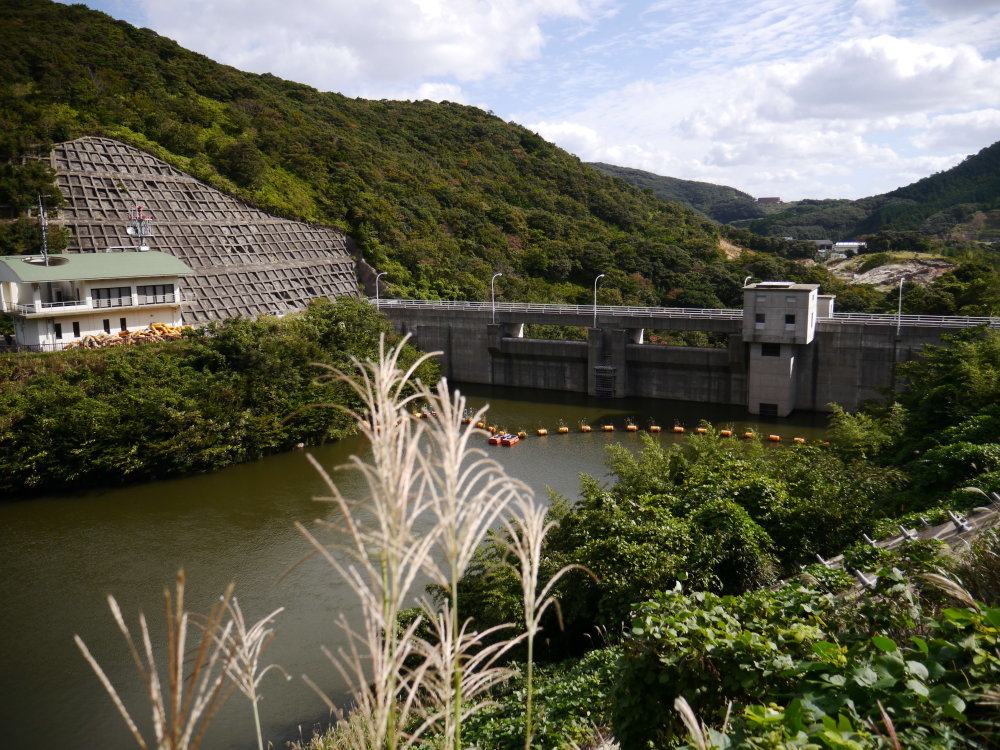 b0165802_23012073.jpg