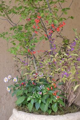 a0240403_11415676.jpg
