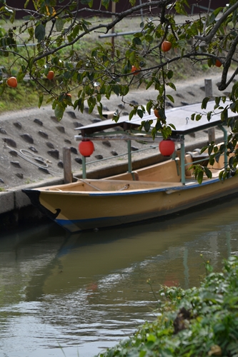 a0240403_951186.jpg
