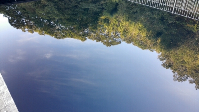 d0093903_07212579.jpg